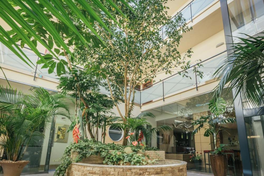 Hotel Costa Azul Balestrate Eksteriør bilde